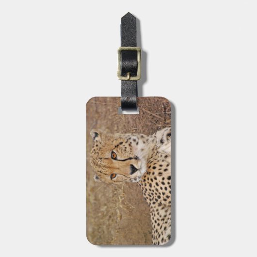 Cheetah Bagagelabel (Voorkant verticaal)