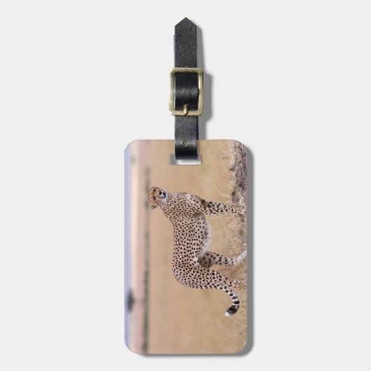 Cheetah Bagagelabel (Voorkant verticaal)