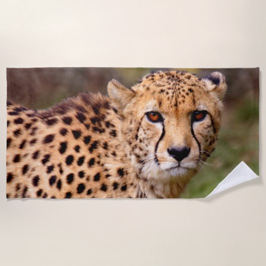 Cheetah Beach Towel Strandlaken (Voorkant)