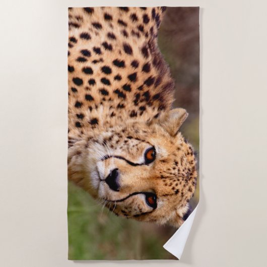 Cheetah Beach Towel Strandlaken (Voorkant)
