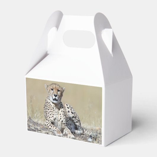 Cheetah Bedankdoosjes (Achterkant)