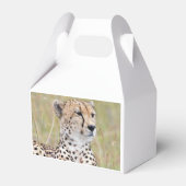 Cheetah Bedankdoosjes (Voorkant Zijde)