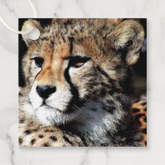 Cheetah Bedankjes Labels (Voorkant)
