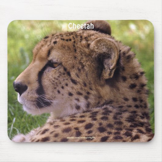 Cheetah Big Cat Wildlife Foto Mousepad Muismat (Voorkant)