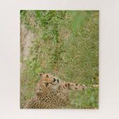 Cheetah Big Cats. Jigzaag Puzzle Legpuzzel (Verticaal)