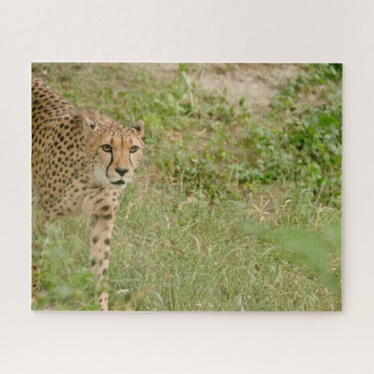 Cheetah Big Cats. Jigzaag Puzzle Legpuzzel (Horizontaal)