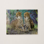 Cheetah Big Cats. Legpuzzel (Horizontaal)