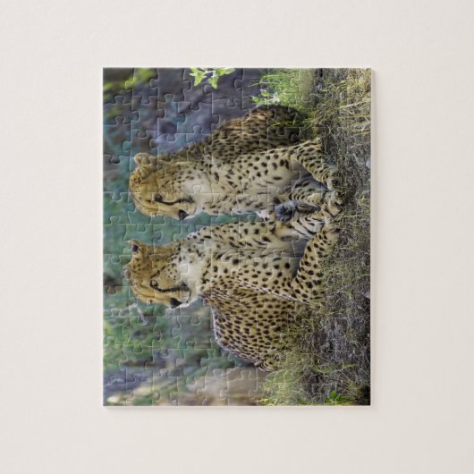Cheetah Big Cats. Legpuzzel (Verticaal)