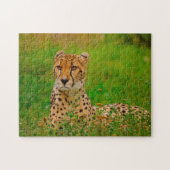 Cheetah Big Cats. Legpuzzel (Horizontaal)