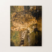 Cheetah Big Cats. Legpuzzel (Verticaal)