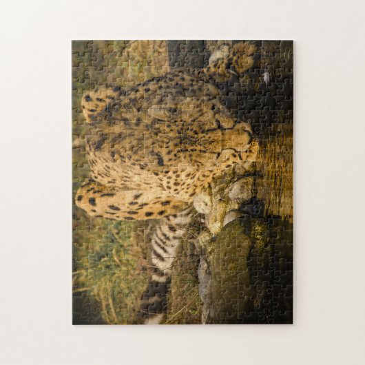 Cheetah Big Cats. Legpuzzel (Verticaal)
