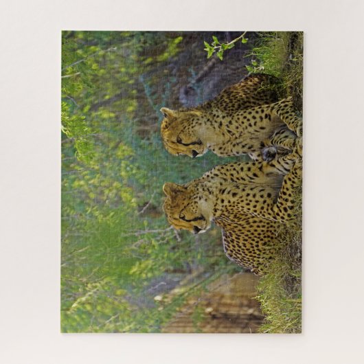 Cheetah Big Cats. Legpuzzel (Verticaal)