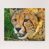 Cheetah Big Cats. Legpuzzel (Horizontaal)