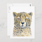 Cheetah Briefkaart (Voorkant / Achterkant)