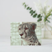 cheetah briefkaart (Staand voorkant)