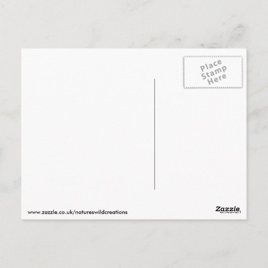 Cheetah Briefkaart (Achterkant)