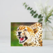 Cheetah Briefkaart (Staand voorkant)