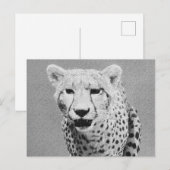 Cheetah Briefkaart (Voorkant / Achterkant)