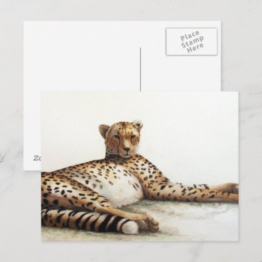 Cheetah Briefkaart (Voorkant / Achterkant)