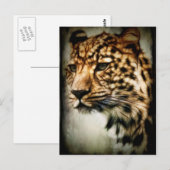 Cheetah Briefkaart (Voorkant / Achterkant)