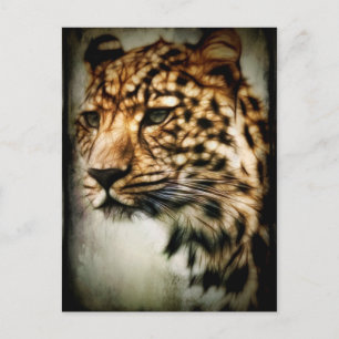 Cheetah Briefkaart