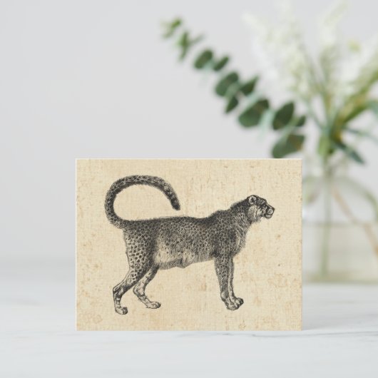  Cheetah Briefkaart (Staand voorkant)