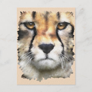 Cheetah Briefkaart