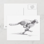 Cheetah Briefkaart (Voorkant / Achterkant)