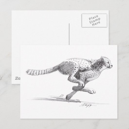 Cheetah Briefkaart (Voorkant / Achterkant)