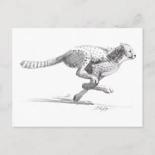 Cheetah Briefkaart