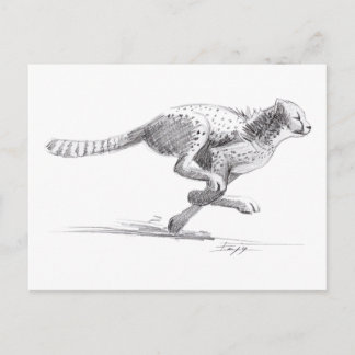 Cheetah Briefkaart