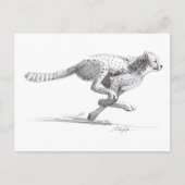 Cheetah Briefkaart (Voorkant)