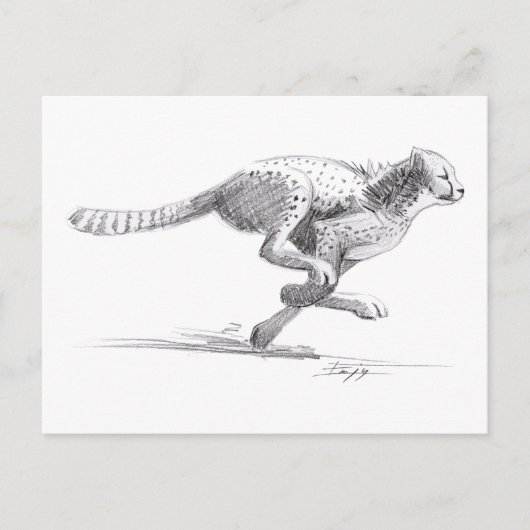 Cheetah Briefkaart (Voorkant)