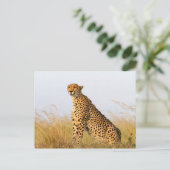 Cheetah Briefkaart (Staand voorkant)