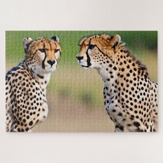 Cheetah Brothers Legpuzzel (Horizontaal)