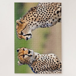 Cheetah Brothers Legpuzzel
