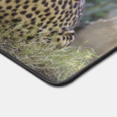 Cheetah Bureaumat (Hoek)
