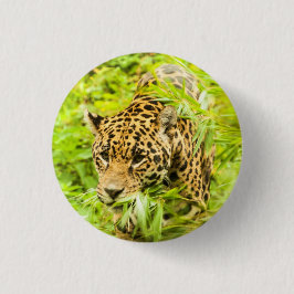 Cheetah - Button