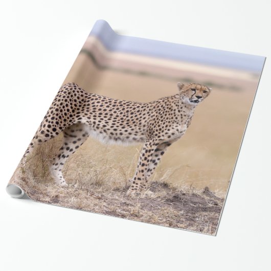 Cheetah Cadeaupapier (Uitgerold)