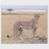 Cheetah Cadeaupapier (Vlak)