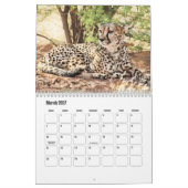 Cheetah Calendar Kalender (Mar 2027)