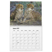 Cheetah Calendar Kalender (Jan 2027)