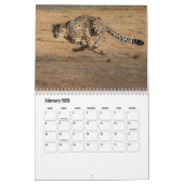 Cheetah Calendar Kalender (Feb 2026)