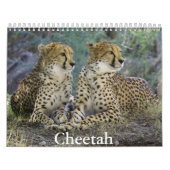 Cheetah Calendar Kalender (Hoes)