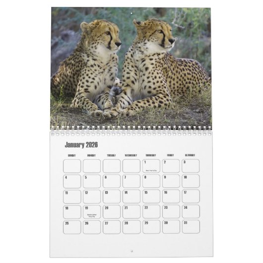Cheetah Calendar Kalender (Jan 2026)