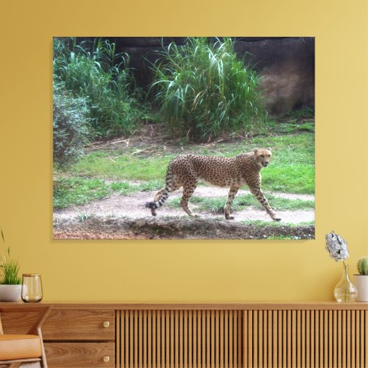 Cheetah Canvas Afdruk (Insitu (Woonkamer))