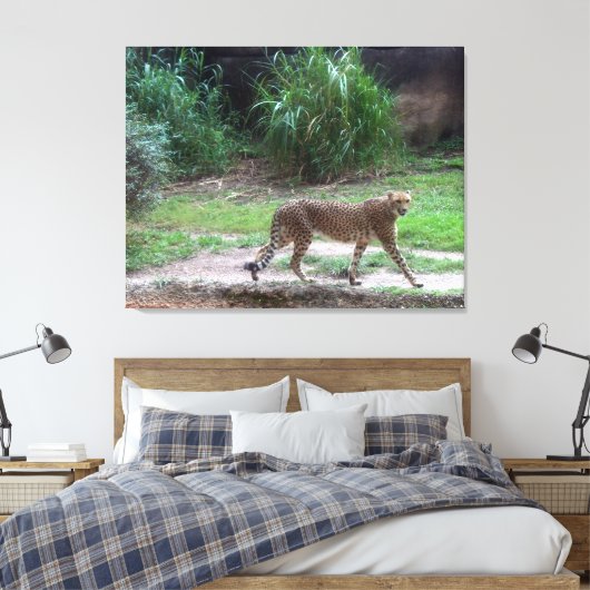 Cheetah Canvas Afdruk (Insitu (Slaapkamer))