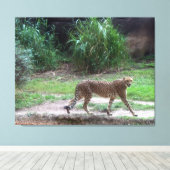 Cheetah Canvas Afdruk (Insitu (Houten vloer))
