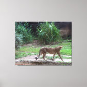 Cheetah Canvas Afdruk (Voorkant)