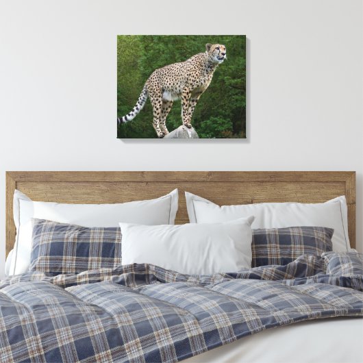 Cheetah Canvas Afdruk (Insitu (Slaapkamer))
